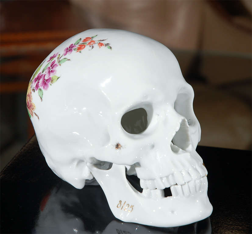 Limited Edition hand painted 'Cumberland' skull <br />
8/25