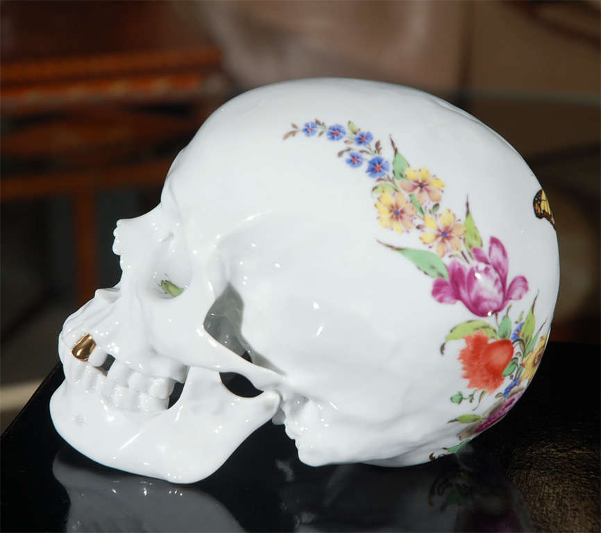 German Porcelain Skull by Nymphenburg