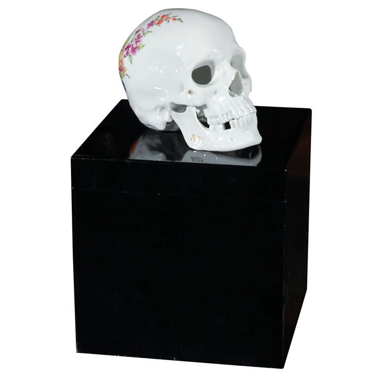 Porcelain Skull by Nymphenburg