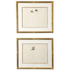 Josefina Robirosa Etchings