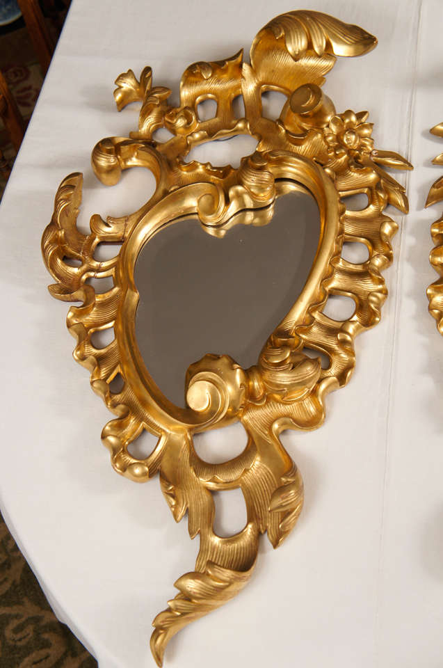 This finely carved and gilded pair of mirrors made in Italy in the very late 19th or early part of the 20th century represents the finest ideals in Rococo design.  All produced in deeply carved wood with no gesso applied ornamentation the pair are