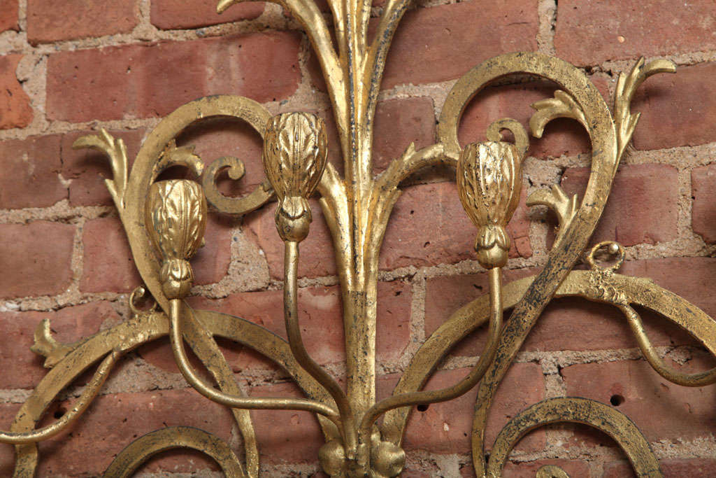 19th Century Beaux-Arts Gold French Wall Candelabra