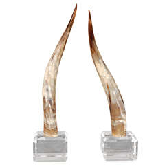 Pair of Authentic Longhorns Mounted on Beveled Lucite Base