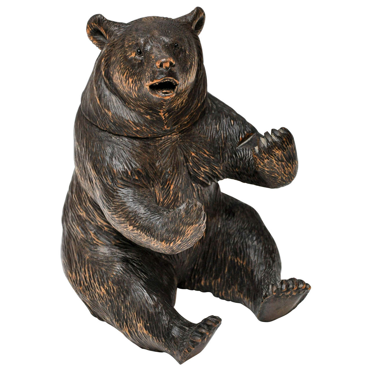 Black Forest Bear Humidor For Sale