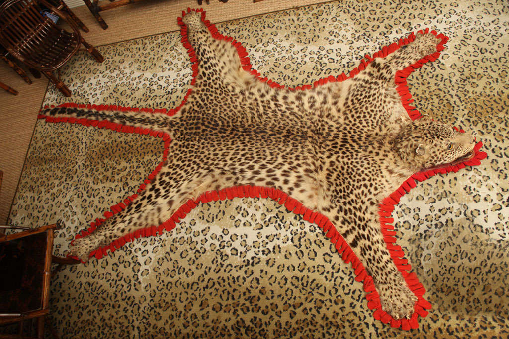 Very difficult to find leopard skin rug perfect for a wall or on the floor (missing some claws).