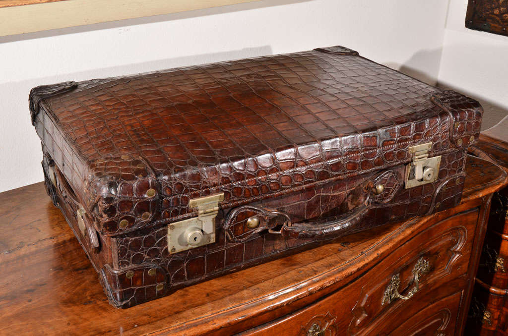 vintage alligator suitcase