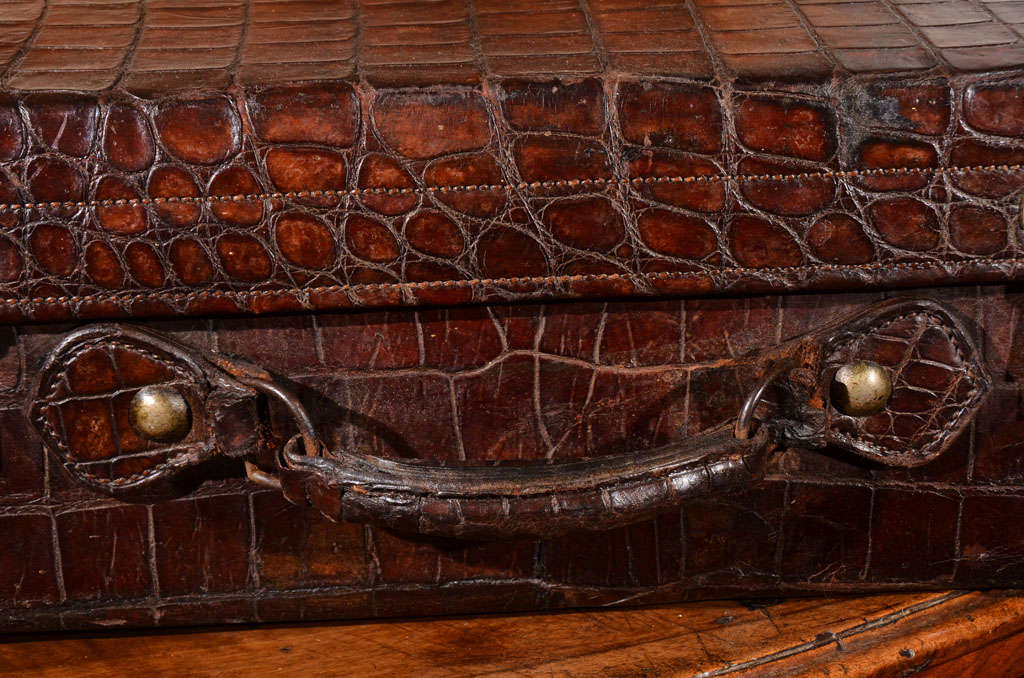 Unknown Vintage Alligator Luggage