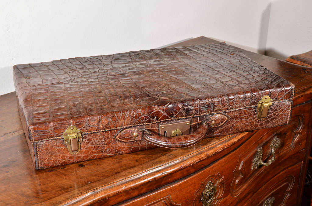 Vintage Alligator Luggage 2