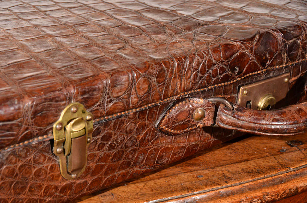 Vintage Alligator Luggage 3
