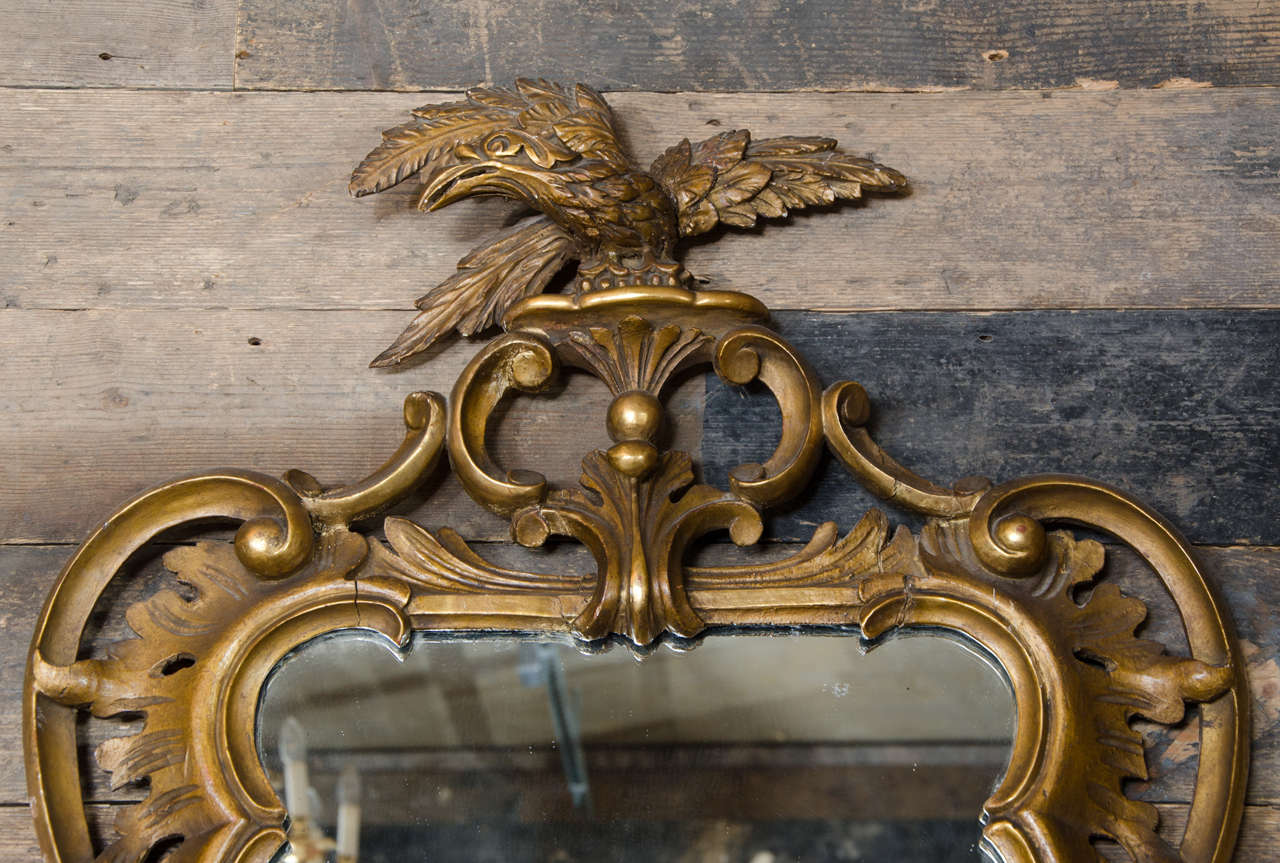 19th Century Antique Rococo Style Gilt Mirror