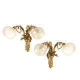 Pair of Ornate Gilt Bronze Sconces with Steuben Glass
