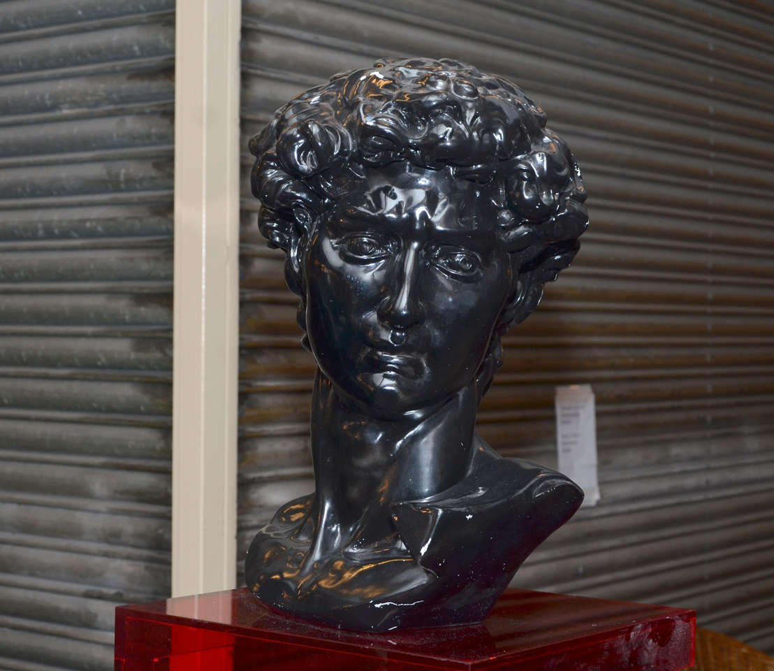 1960-1970 Resin Copy of Michelangelo's David's Head