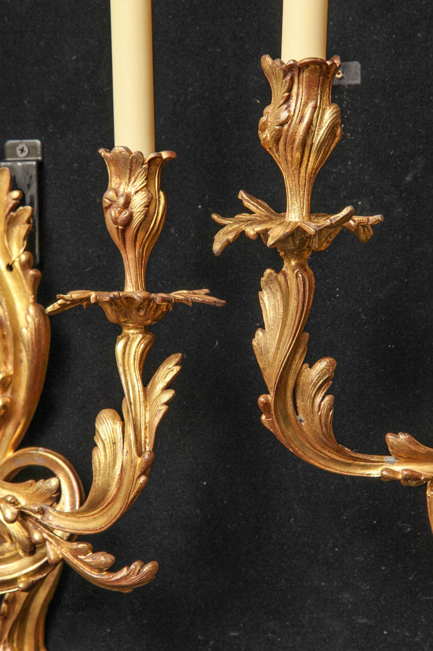 19th Century Louis XV Style Gilt Bronze Left and Right Sconces For Sale