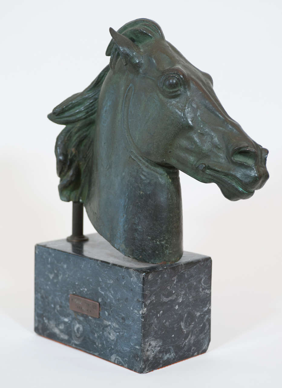 Impressive Bronze Horse Head Bust by Mixaha Tomnpoe