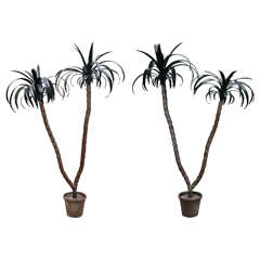 Pair of Tole Palm Trees