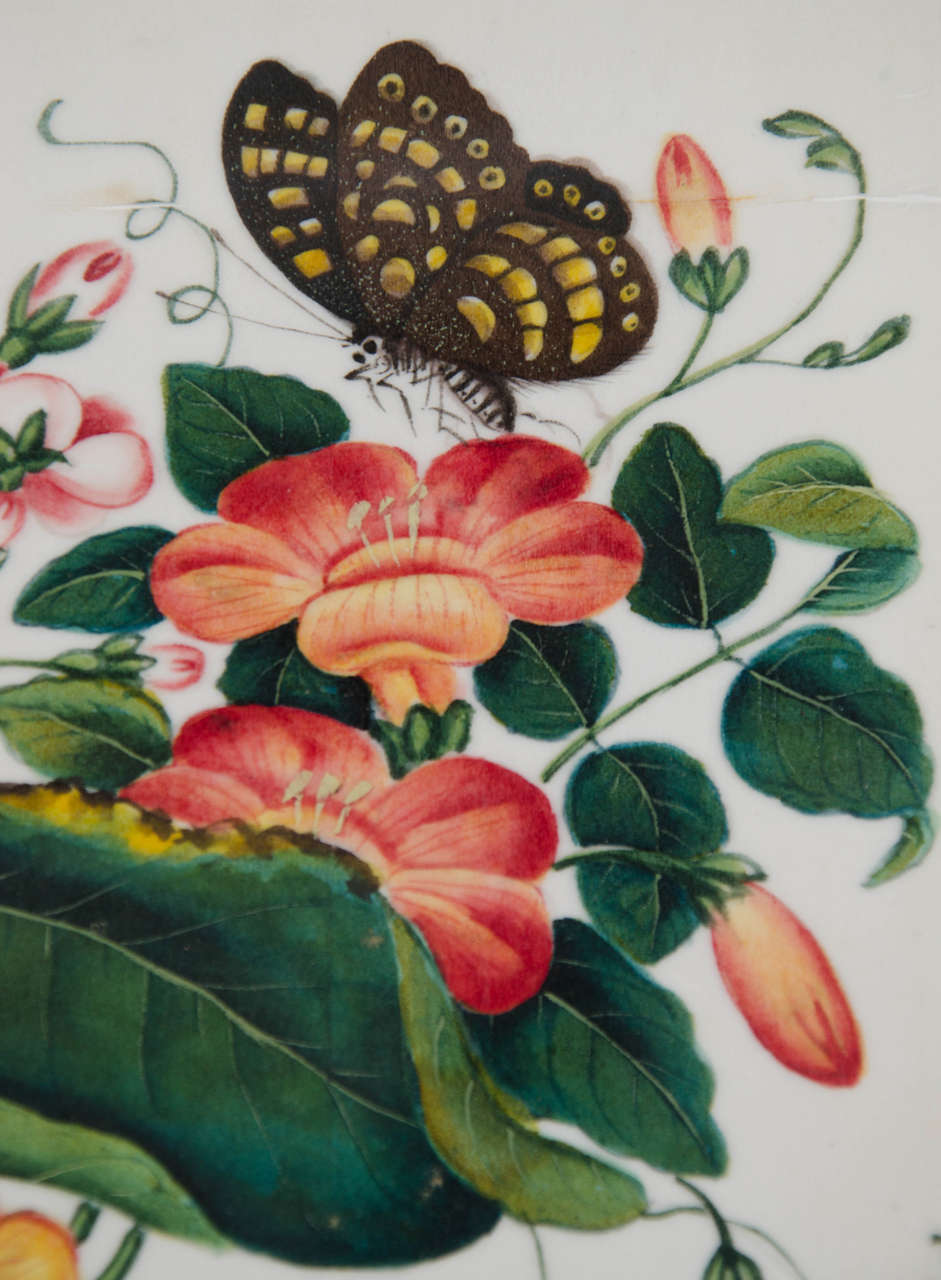Set of 12 Watercolors on Rice Pith Paper with Flowers Butterflies Chinese In Good Condition For Sale In London, GB