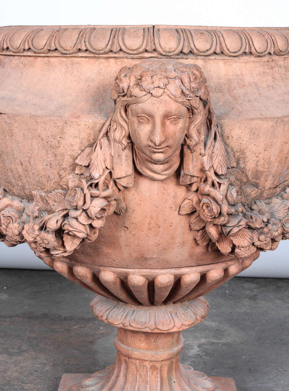 Unknown Pair of Neoclassical Style Terracotta Urns