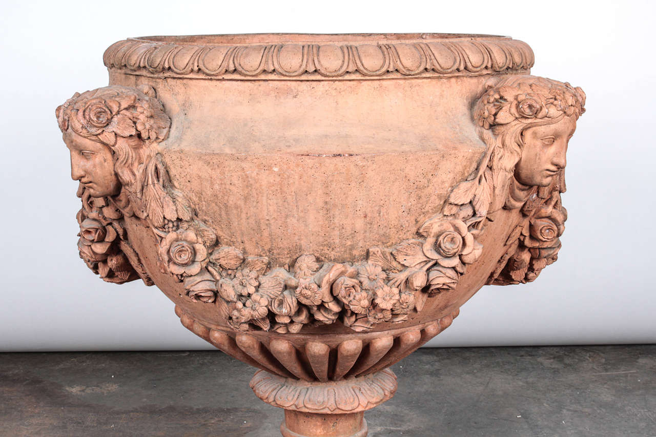 Pair of Neoclassical Style Terracotta Urns 1