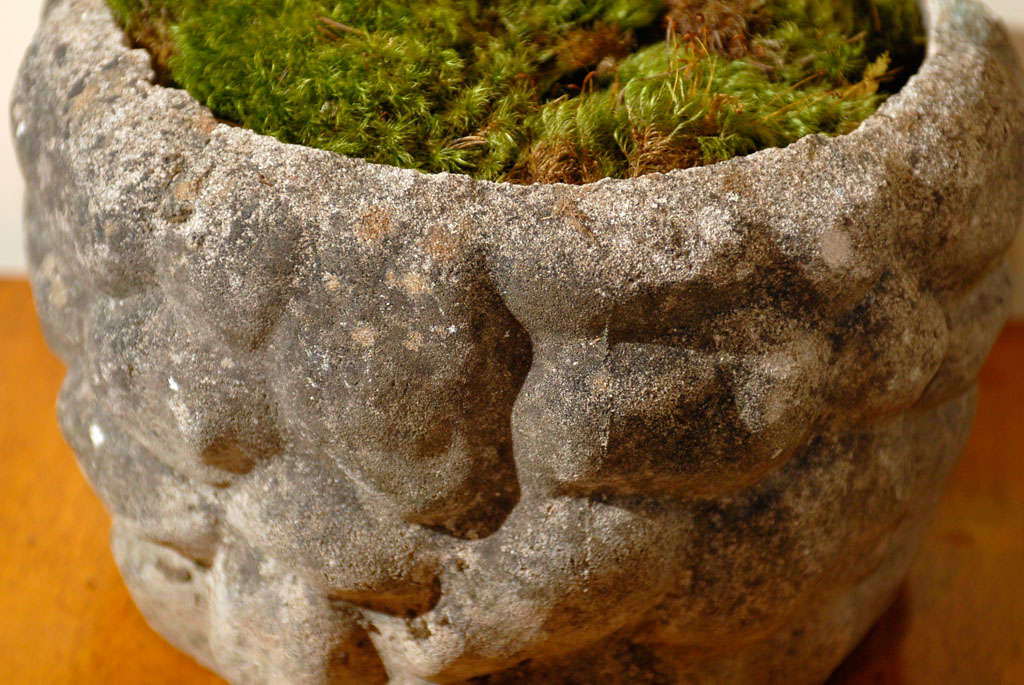 Contemporary Pair of Planters in Faux Stone Design