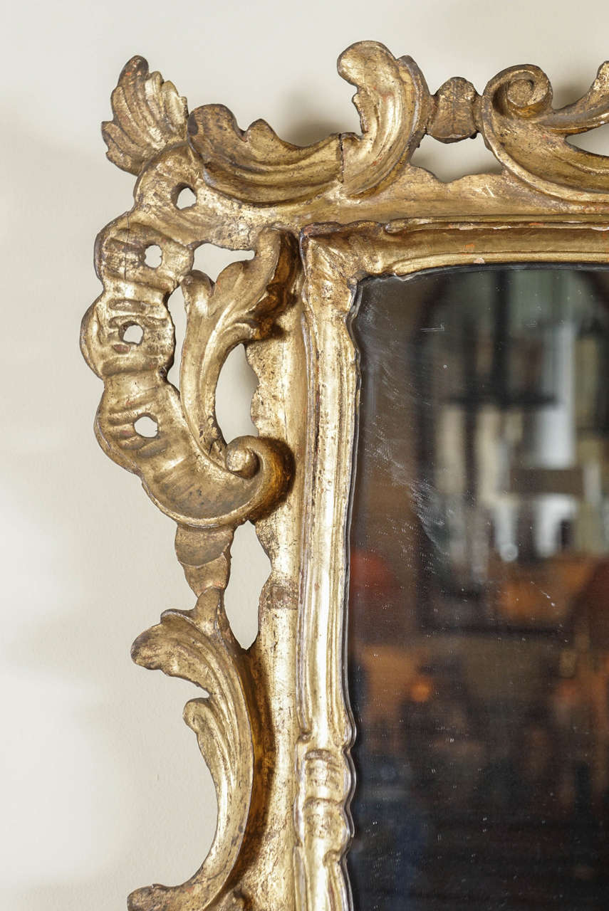 Carved Pair of Baroque Style Mirrors