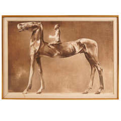 Horse and Rider by Luciano Miori