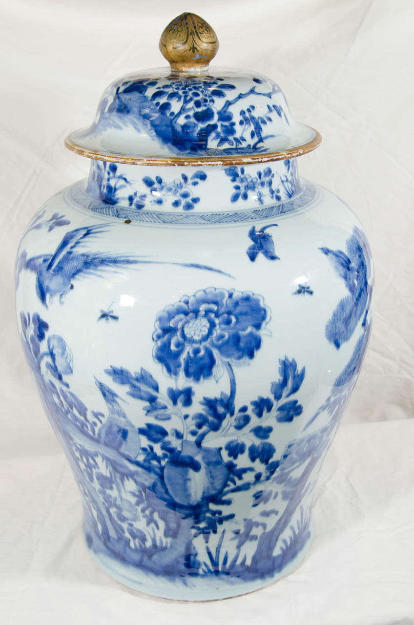 A massive Chinese Kangxi period blue and white covered vase painted in varying tones of deep, rich underglaze cobalt. It shows a continuous scene of a  Chinese garden featuring a pair of birds, one in flight and one resting on a branch. The garden