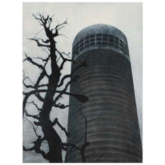 Frank Webster, Tree and Tower, Tokyo