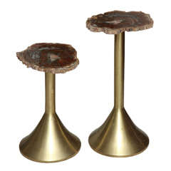 Rare Pair of Solid Brass and Petrified Wood Occasional Tables