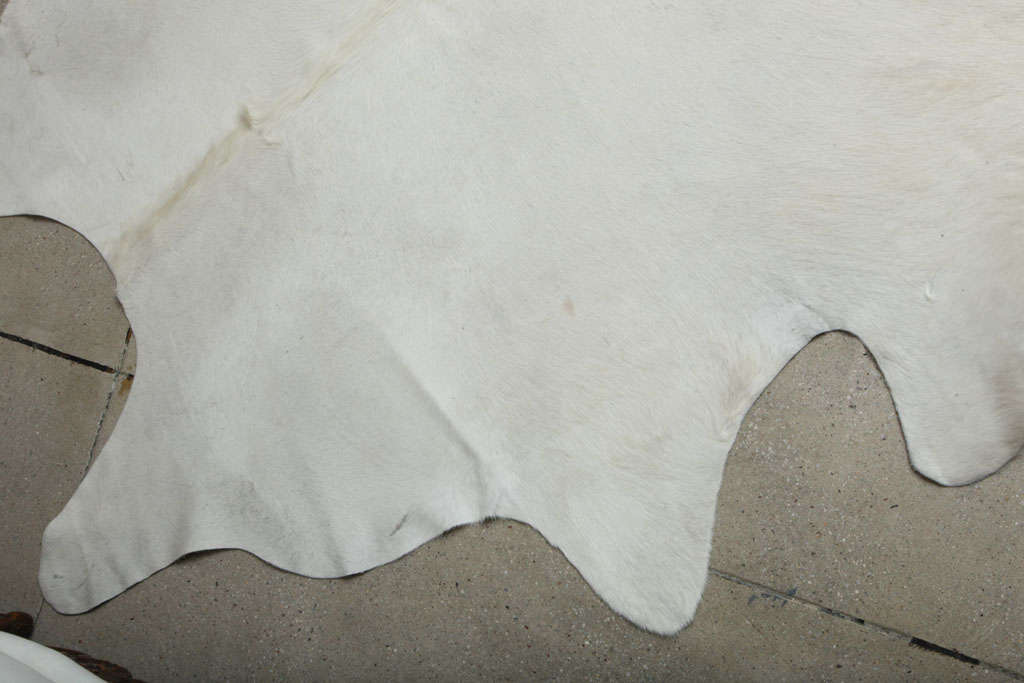 white cow hide rug