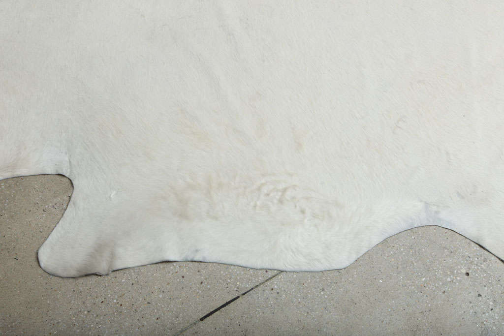 Rare All Natural White Cowhide Rug at 1stdibs
