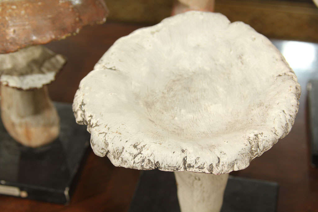 Handmade Plaster Mushrooms 4