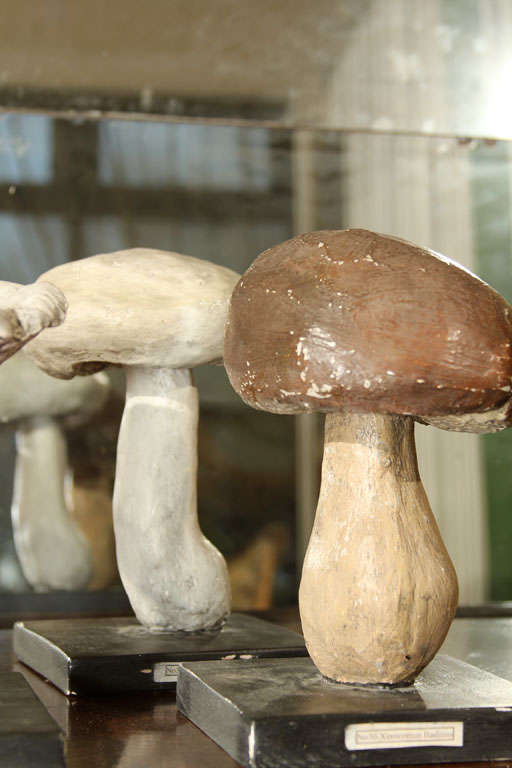 Handmade Plaster Mushrooms 1