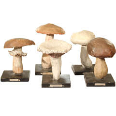 Handmade Plaster Mushrooms