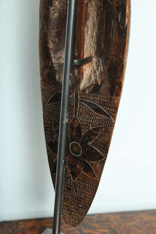 19th Century Aboriginal Parrying Shield 1