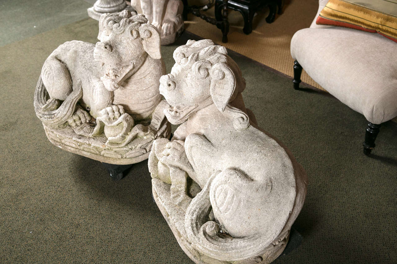 Carved Stone Foo Dogs For Sale 1