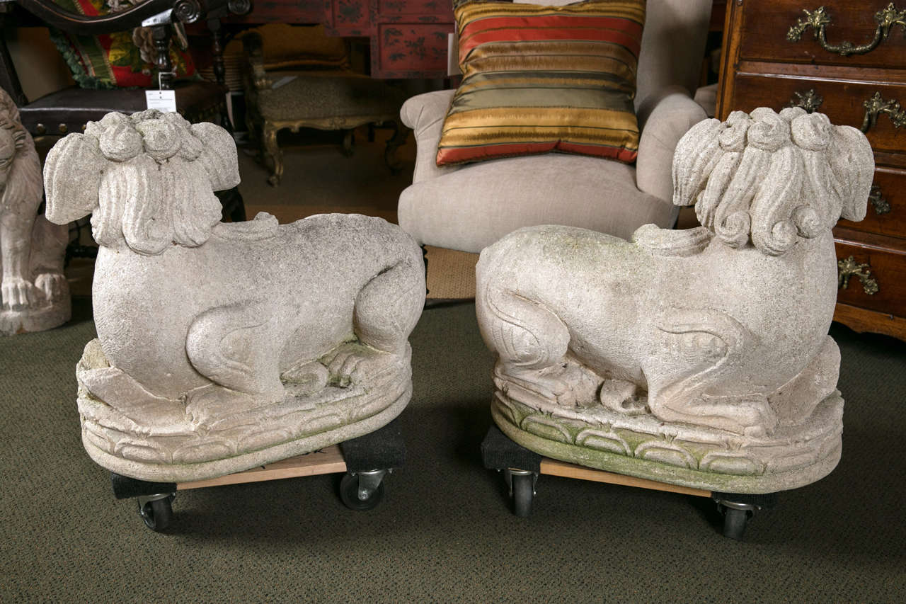 Carved Stone Foo Dogs For Sale 3