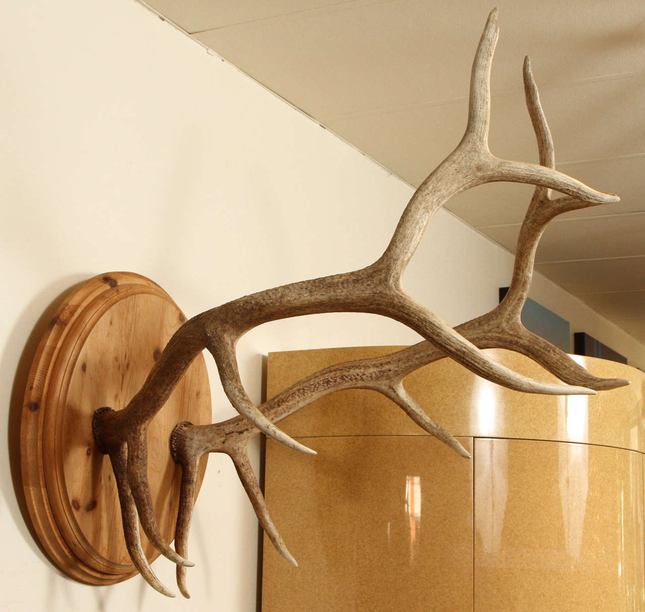 Spectacular Pair of Elk Antlers For Sale 2