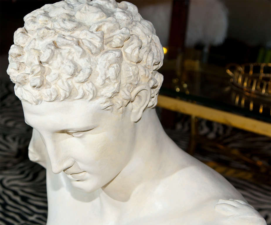 20th Century Plaster Hermes Head