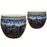 Pair of large blue and white fish bowls.