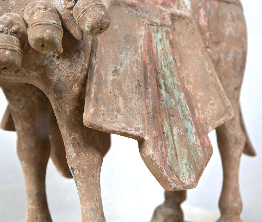 Pair of Northern Wei Pottery Horses Approx 520 A.D. In Distressed Condition In Manhasset, NY