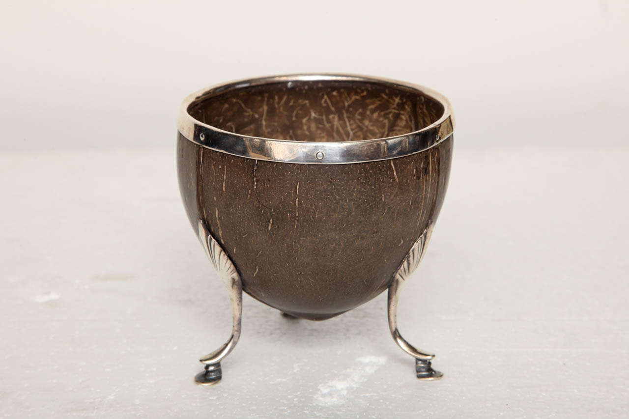 19th Century English, Silver Mounted Coconut For Sale 1