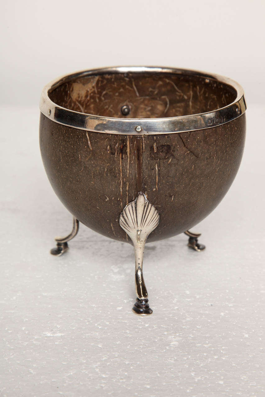 19th Century English, Silver Mounted Coconut For Sale 2
