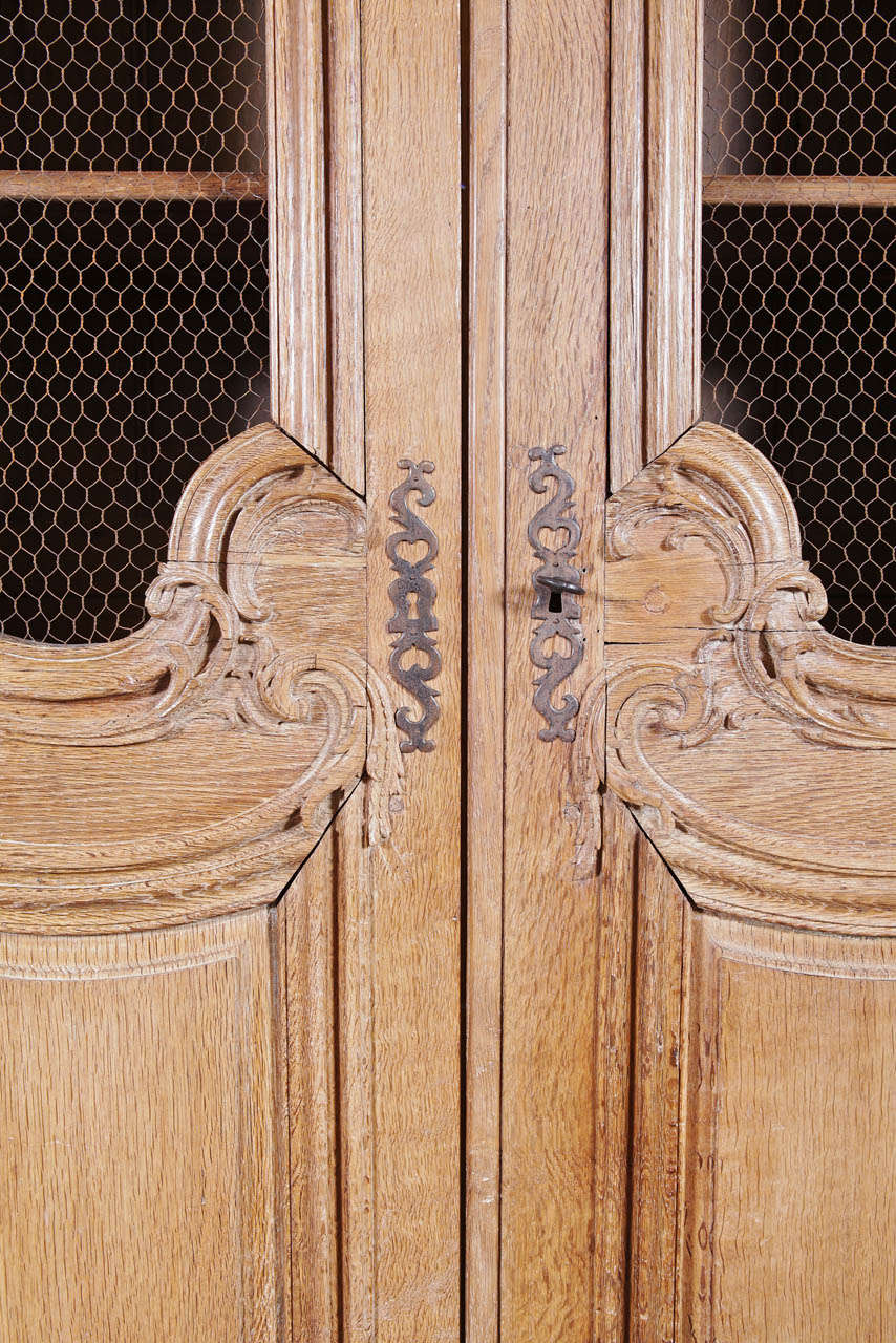 19th Century French Regence Oak Bookcase In Excellent Condition In Dallas, TX