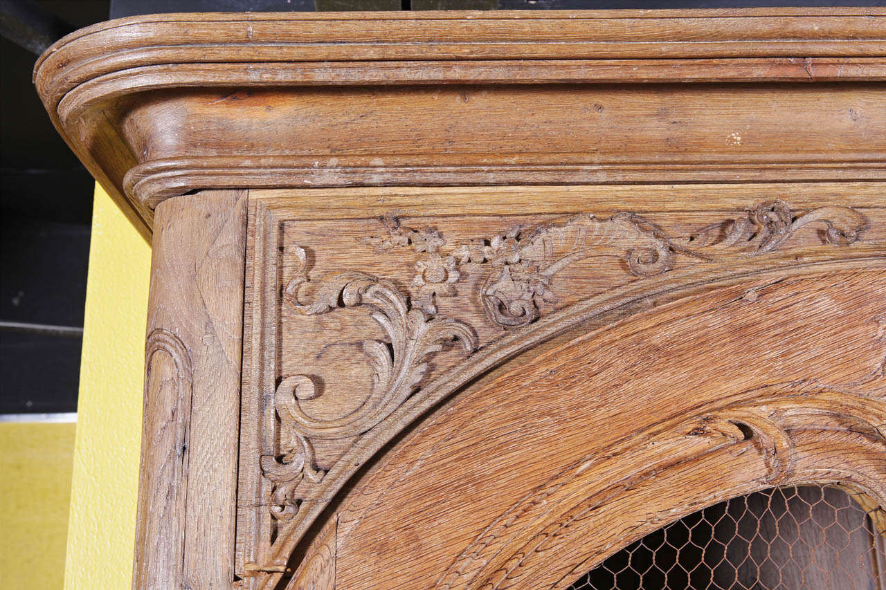 19th Century French Regence Oak Bookcase 3