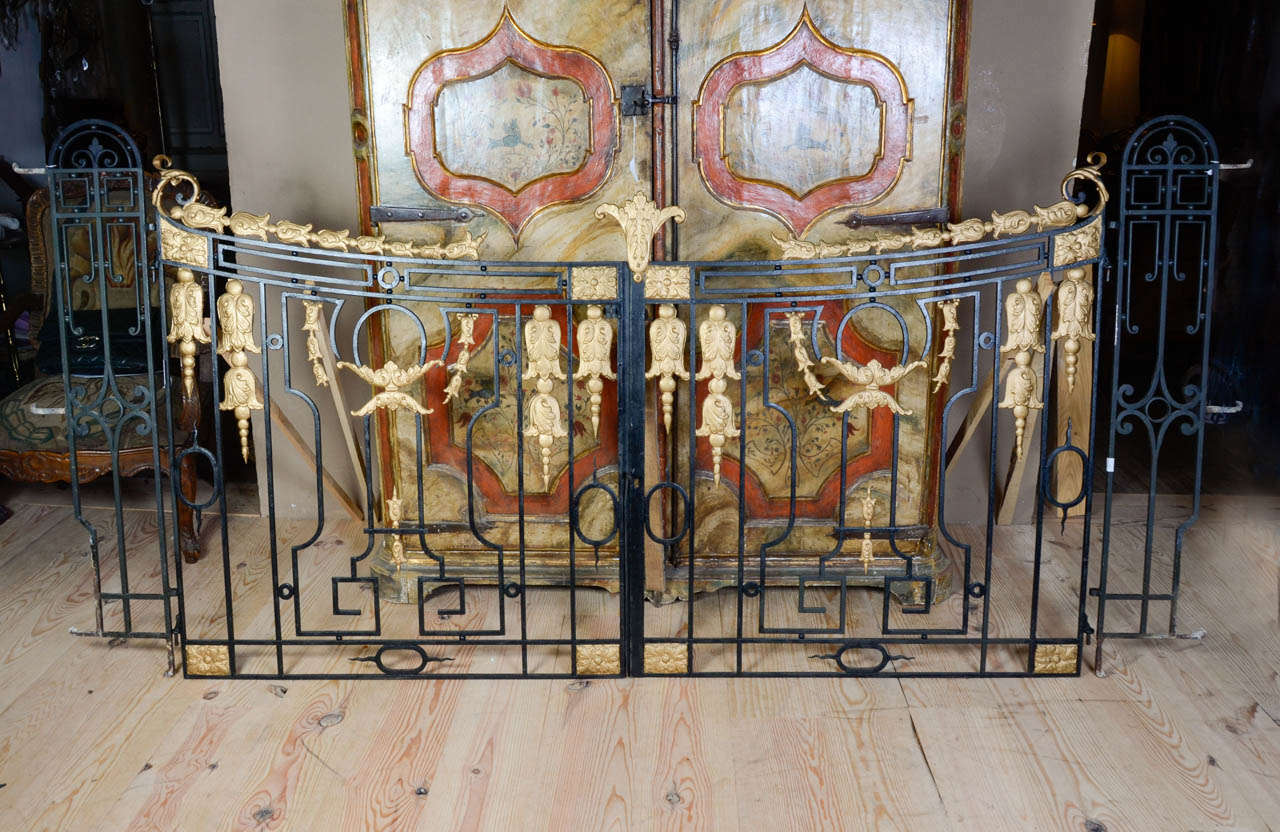 Iron gate for interior