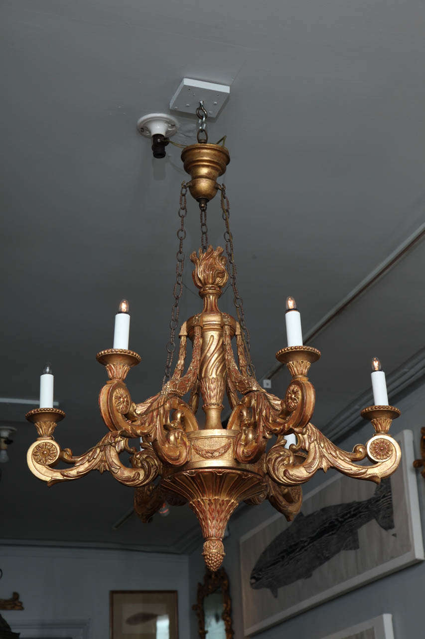 Very fine 19th Century gilt wood six light neoclassical chandelier, the spiral fluted urn shaft with flame finial, the six scroll arms with acanthus garlands, the fluted base with pineapple drop, the whole in very fine water gilding.
