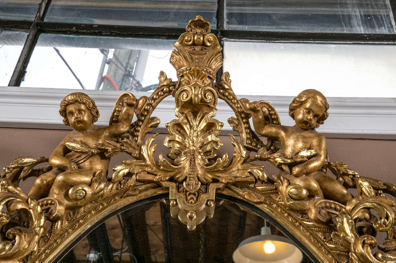 Early 19th Century Palatial Rococo Giltwood Carved Mirror 2