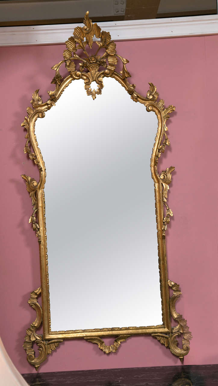 A gilt gold shell and vine floral carved mirror. A finely carved gilt gold aged frame having all-over rose, leaf and vine carvings flanking a central mirror. Great over any table, console or the like. Would make a fine addition to any wall space,