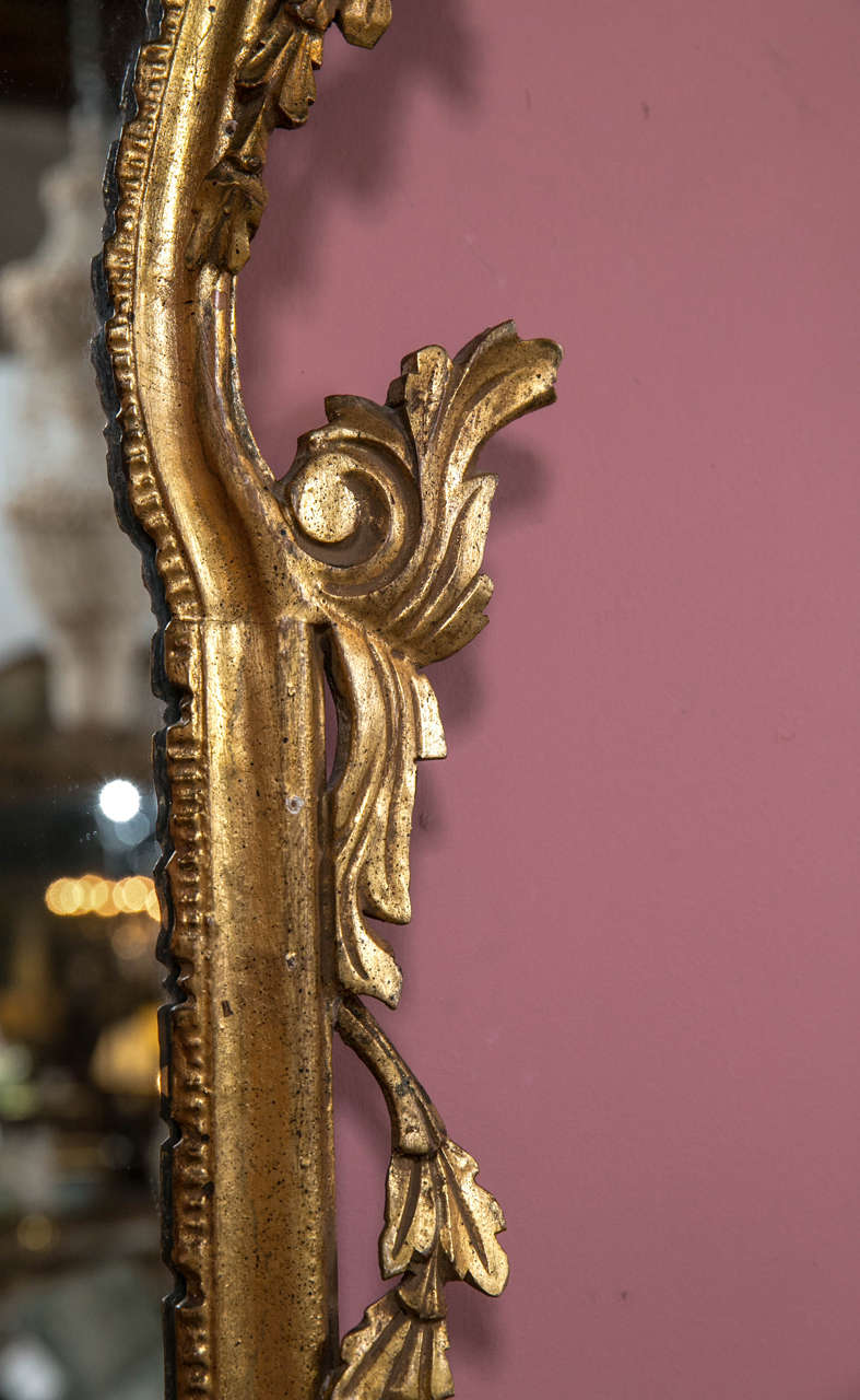 Rococo Gilt Gold Shell and Vine Floral Carved Mirror