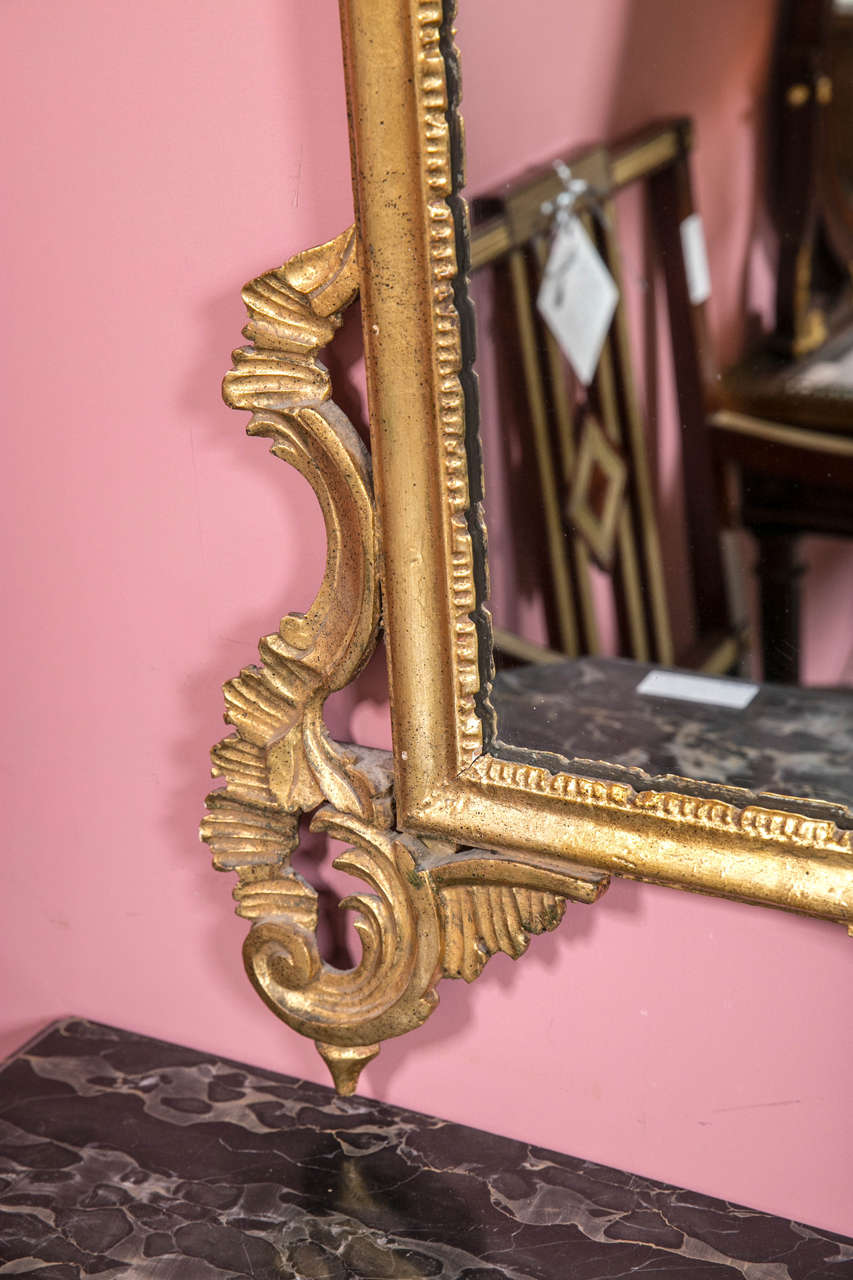 Gilt Gold Shell and Vine Floral Carved Mirror In Good Condition In Stamford, CT